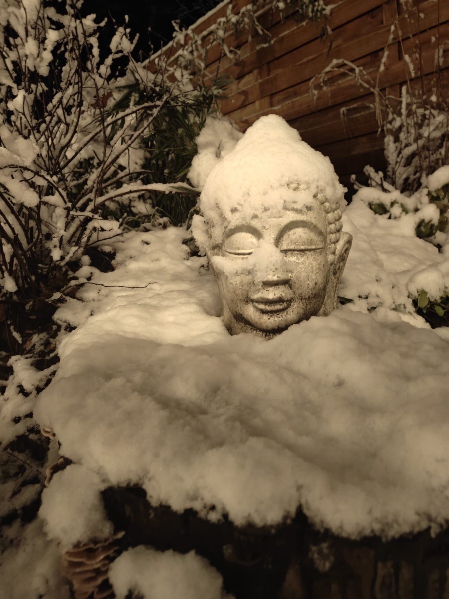 Boeddhabeeld in de sneeuw